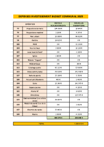 BP2025 INV Dépenses par opérations