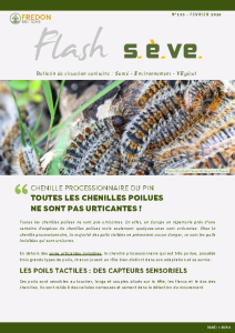 2026 02 09 FLASH-SEVE-n°113-Fevrier-2026